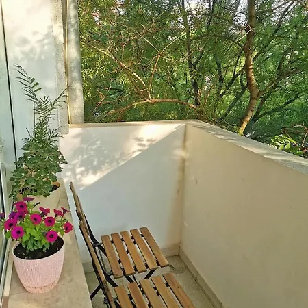 Fresh Apartment